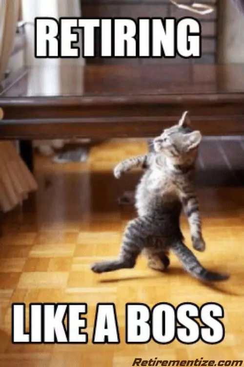 Retiring like a boss. (Kitten strutting)