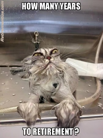 How many years to retirement? (Disheveled cat)