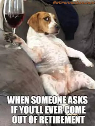When someone asks if you'll ever come out of retirement. (Dog lying on the couch with a glass of wine)