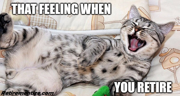 That feeling when you retire. (Cat lying on couch yawning)