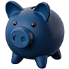 Income Savings